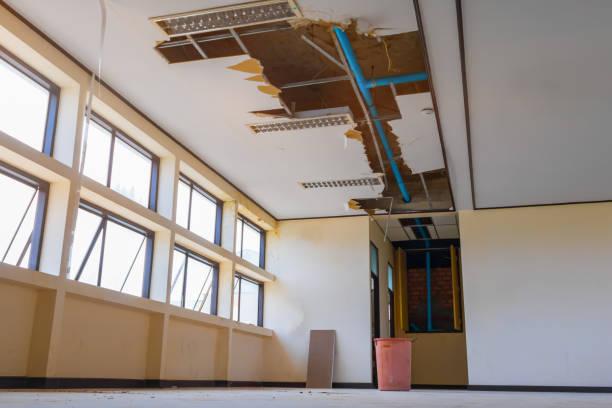 Best Residential water damage restoration  in Mcleansville, NC