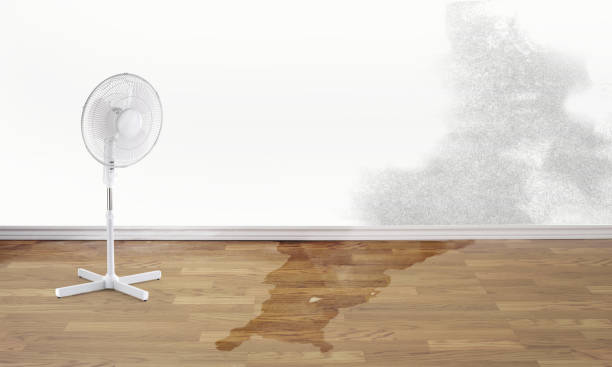 Best Water damage restoration near me  in Mcleansville, NC