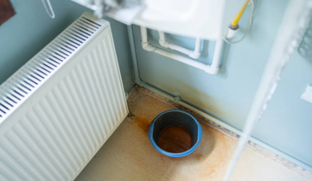Best Flooded house restoration  in Mcleansville, NC